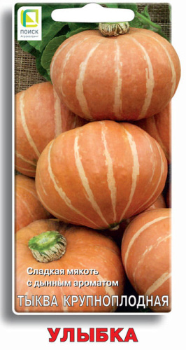 Тыква Улыбка