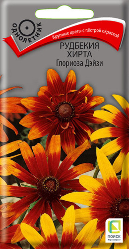 Рудбекия Глориоза Дейзи 