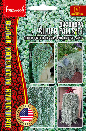 Дихондра Сильвер Фолс F1 (Silver Falls)