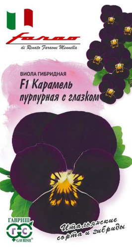 Виола Виттрока Карамель F1  пурпурная с глазком