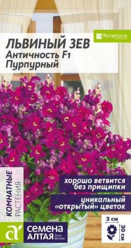 Львиный зев Античность F1 Пурпурный