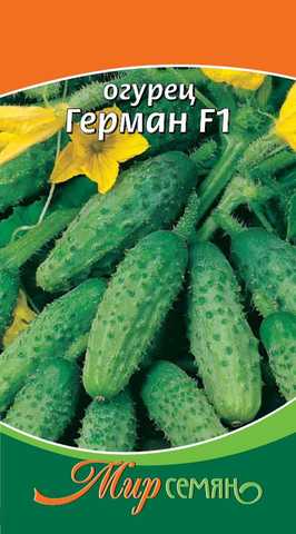 Огурец Герман F1