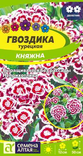 Гвоздика Княжна турецкая