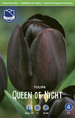 Тюльпан "Queen of Night" (1х25шт)