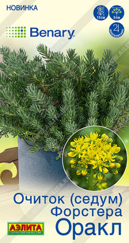 Очиток форстера Оракл (Седум) 