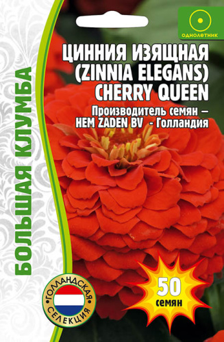 Цинния Cherry Queen изящная