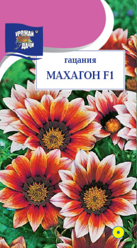 Гацания Махагон 