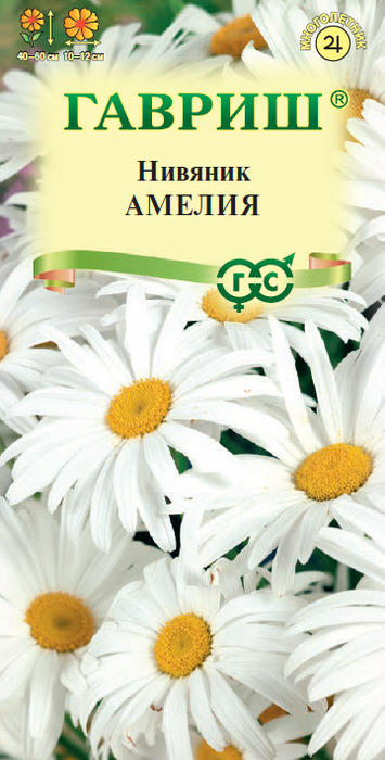 Ромашка Амелия белая 