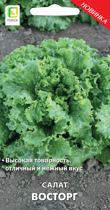 Салат Восторг