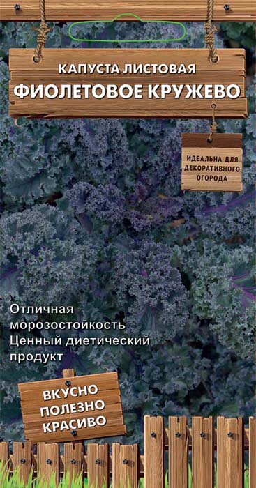 Капуста Фиолетовое кружево листовая
