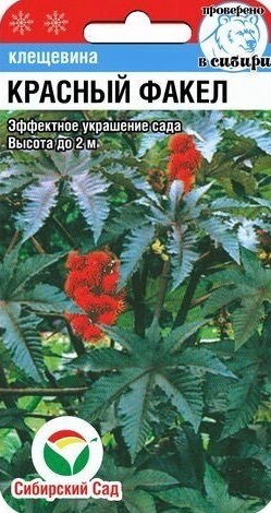 Клещевина Красный Факел 