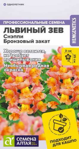 Львиный зев Снэппи Бронзовый закат 