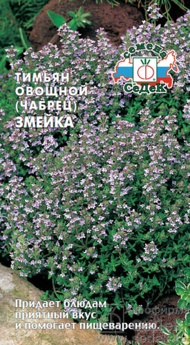 Тимьян Змейка 