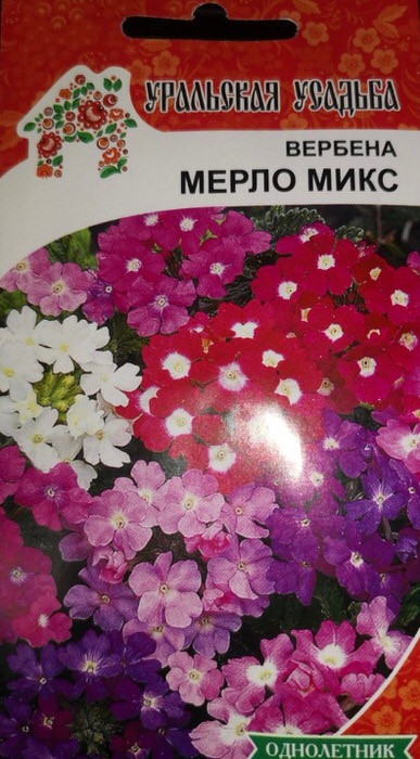 Вербена Мерло Микс (УУ) 