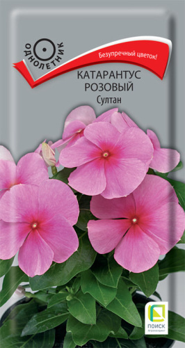Катарантус розовый Султан 