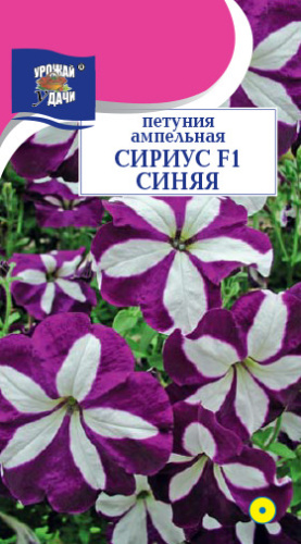 Петуния Сириус F1 Синяя ампельная 