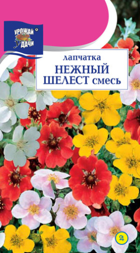 Лапчатка Нежный шелест Микс 