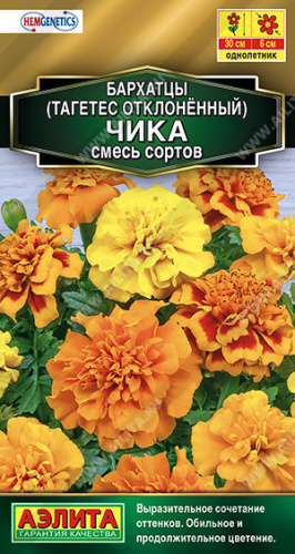 Бархатцы Чика отклоненные, смесь