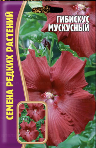 Гибискус Мускусный