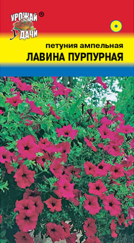 Петуния Лавина F1 Пурпурная