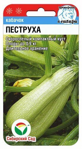 Кабачок Пеструха 
