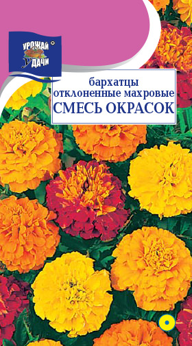 Бархатцы отклоненные Махровые, смесь