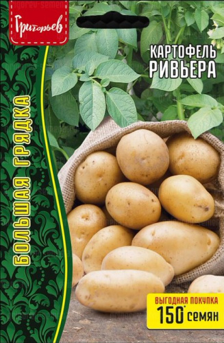 Картофель (семена) Ривьера ВП