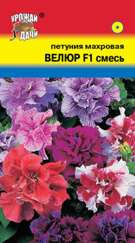 Петуния Велюр F1 махровая, смесь