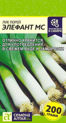 Лук (порей) Элефант МС