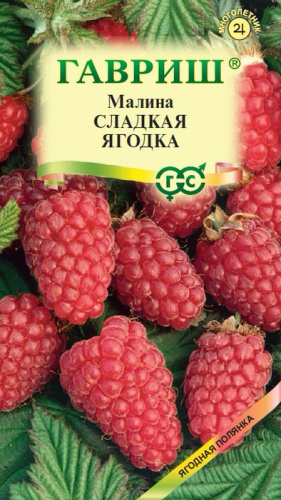 Малина Сладкая ягодка 