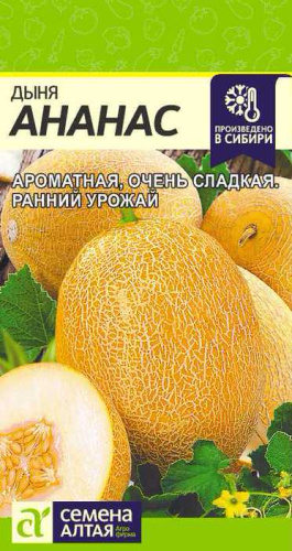 Дыня Ананас 