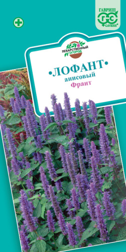 Лофант Франт 