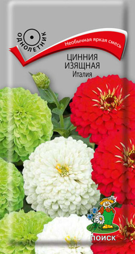 Цинния Италия изящная