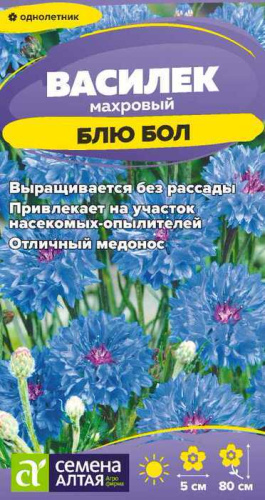 Василек Блю Бол