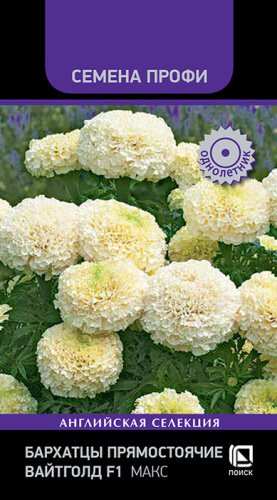 Бархатцы Макс прямостоячие