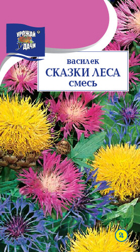 Василек Сказки леса смесь многолетний 