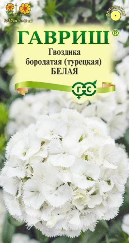 Гвоздика Белая турецкая