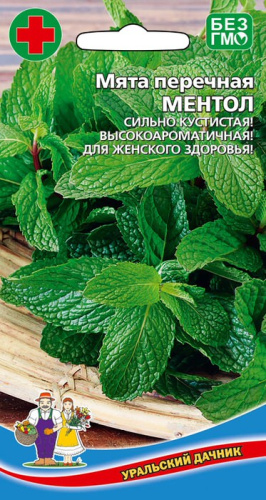 Мята Ментол - перечная