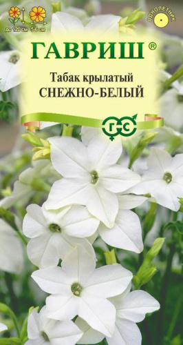 Табак Снежно-белый, душистый