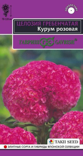 Целозия Курум розовая гребенчатая