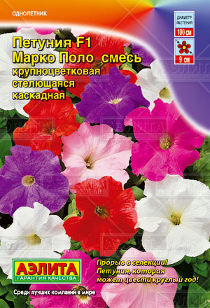 Петуния Марко Поло F1, смесь  Farao 