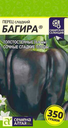 Перец Багира 