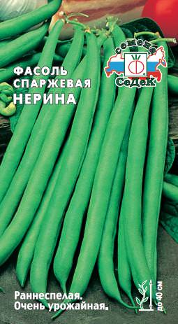 Фасоль Нерина спаржевая