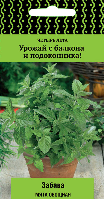 Мята Забава