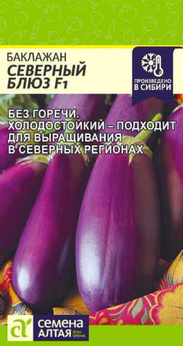 Баклажан Северный блюз 