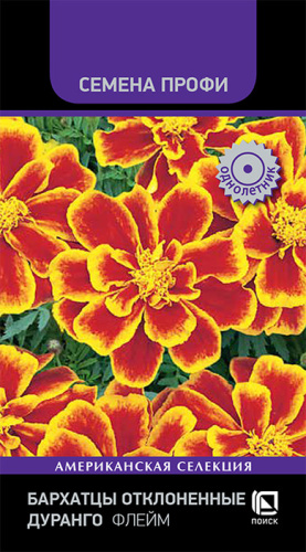 Бархатцы Дуранго Флейм откл.