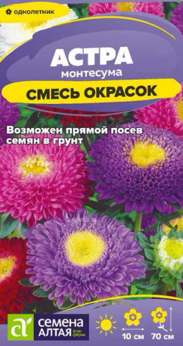 Астра Монтесума Смесь