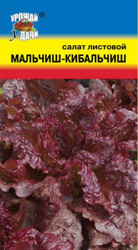 Салат Мальчиш - Кибальчиш 