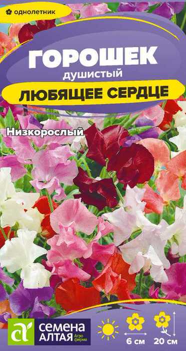 Душистый горошек Любящее сердце Душистый горошек Любящее сердце