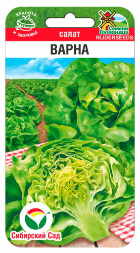 Салат Варна